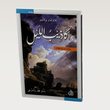 p100241.png